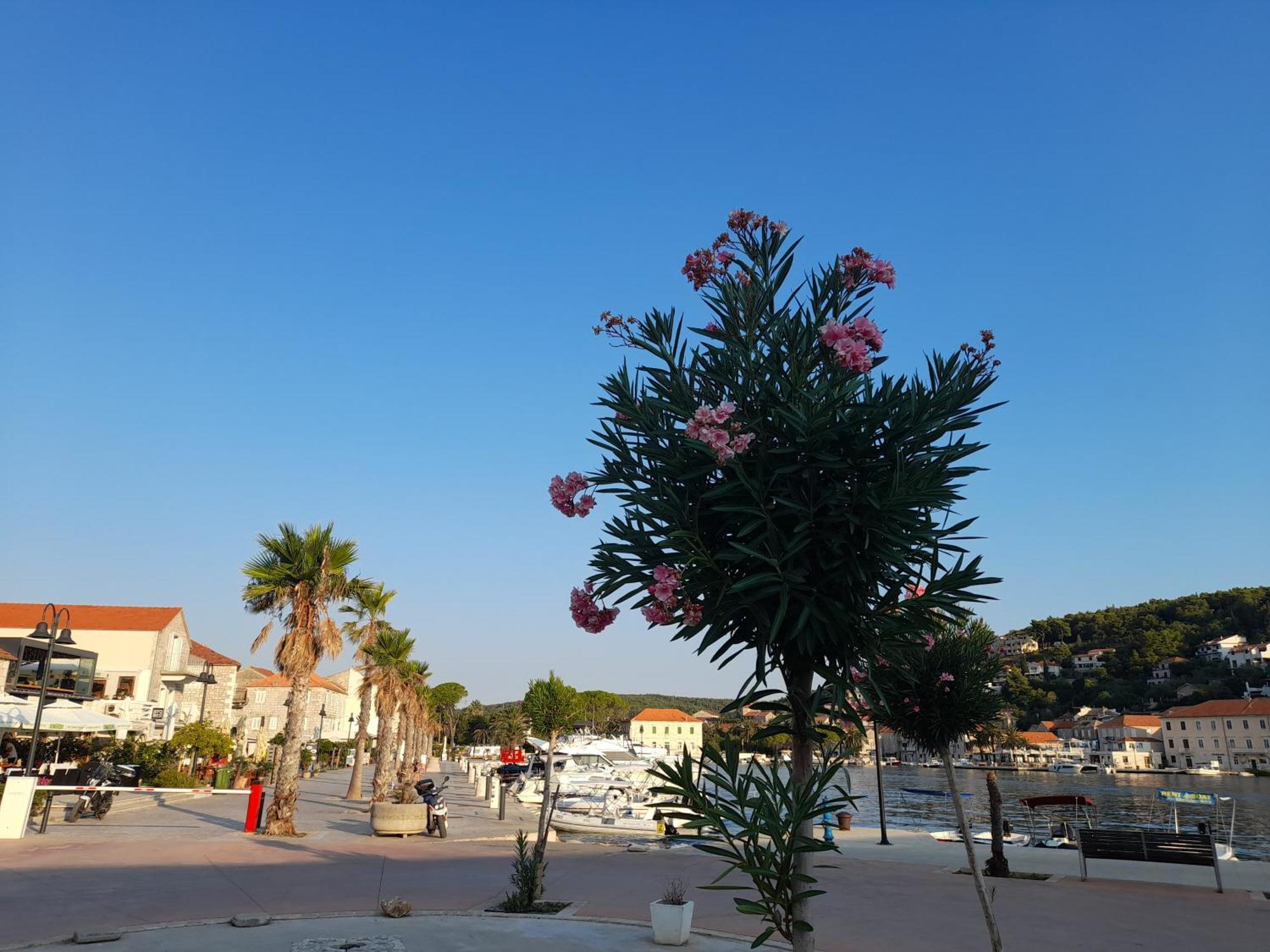 Hvar Architect'S House Pitve ภายนอก รูปภาพ
